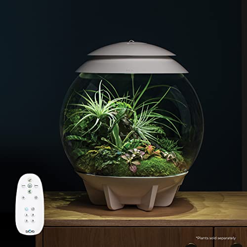 biOrb AIR 30, Fully Automated Terrarium for Arid, Temperate, or Tropical Plants, White - color: White