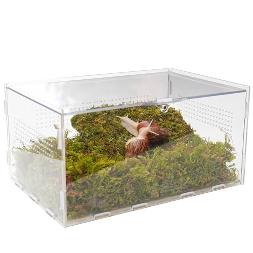 Snail Terrarium Kit with Climbing Accessories11.22 L x 7.87" W x 6" H Clear Small Animal House for Snails, Caterpillars& Small Critters – Includes 7" Climbing Wall and Substrate