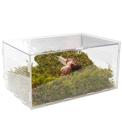 Snail Terrarium Kit with Climbing Accessories11.22 L x 7.87" W x 6" H Clear Small Animal House for Snails, Caterpillars& Small Critters – Includes 7" Climbing Wall and Substrate