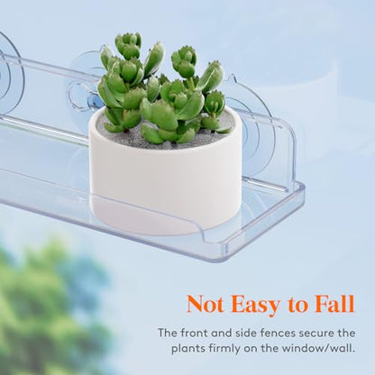 Lifewit Window Plant Shelves 14.6", 2 Pack Acrylic Suction Cup Holder | No-Drill Window Sill Extender for Indoor & Outdoor Micro Greens, Clear Floating Shelf for Bathroom Mirror, or Kitchen Wall