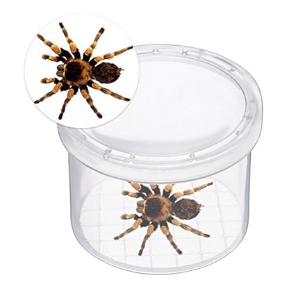 Bug Viewer Jars Critter Cage Magnifying Box 12 Pack | Insect Magnifier, Backyard Nature Exploration, Science Class Collection Entomology Class, Explorer Sample