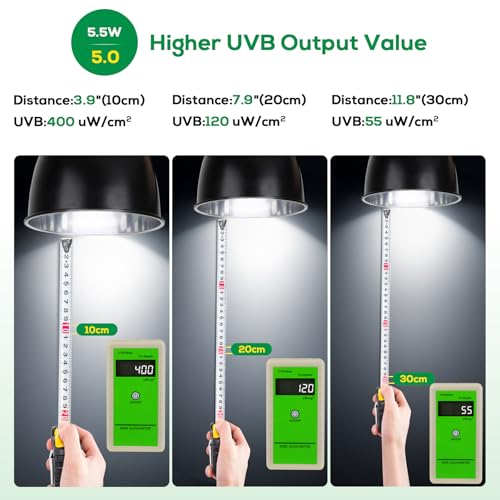 High Intensity UVB Reptile Light Bulb 5.5W 5.0 Full Spectrum UVA UVB for Reptiles simulating Sunlight Promote Synthesis of Vitamin D3 in Reptile Pets for Turtle,Lizard,Bearded Dragon - size: 5.5W5.0