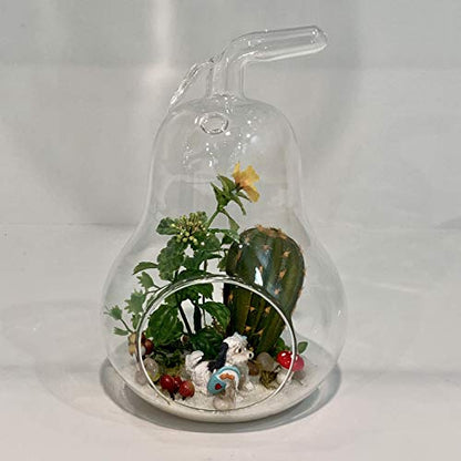 WGV Planter Terrarium Bulk, Width 5.5", Height 8", Clear Unique Pear Glass Vase Conatiner, DIY Planter Votive Candle Holder for Home Office Garden Decor, 6 Pieces - size: Pear