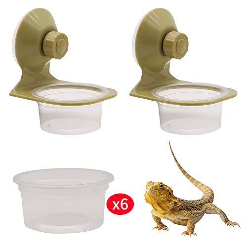 2 Pack Reptile Feeder Gecko Lizard Feeding Cup with Suction Cup, Reptile Food Water Feeder Dish with 6 pcs Cups for Geckos,Chameleon Lizard (Single) - size: Single