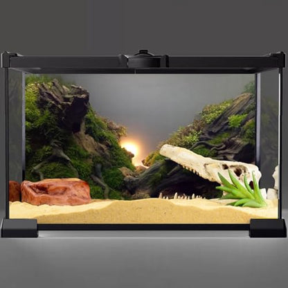 60x24 in River Bed Aquarium Backdrop Sunshine Aquatic Fish Tank Background | AWERT Moss Plants Aquarium Background Vinyl - size: 60x24in/150x60cm