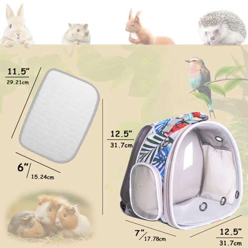 Hamster Backpack Carrier,Bearded Dragon Carrier Backpack for Kids with Clear Bubble Window,Small Animal Travel Backpack for Guinea pig Hedgehog Rat,Sugar Glider Airline Approved (Multicolor, Backpack) - color: Multicolor