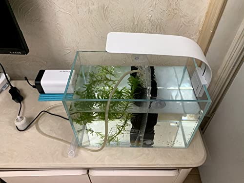 AWXZOM Small Nano Tall Rimless Tank, Glass Fish Tank, Betta Fish Tank, Aquarium (2.85 Gal, 11.8x6.7x7.8 inch) - size: 2.85 Gallon 11.8x6.7x7.8inch/30x17x20cm