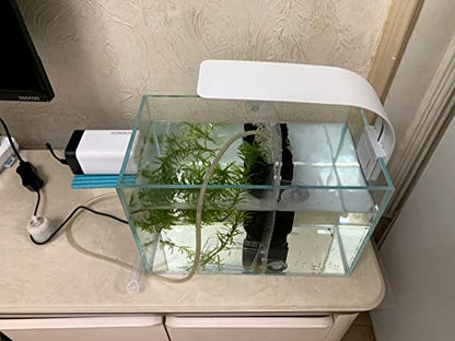 AWXZOM Small Nano Tall Rimless Tank, Glass Fish Tank, Betta Fish Tank, Aquarium (2.85 Gal, 11.8x6.7x7.8 inch) - size: 2.85 Gallon 11.8x6.7x7.8inch/30x17x20cm