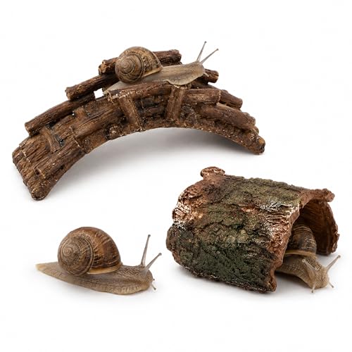 Pet Snail Hideout and Climbing Bridge Set for Terrarium Habitat Decor (Hideout) | Low-Profile Bark-Style Hideout and 17 cm Bridge for Natural Resting and Crawling Routes