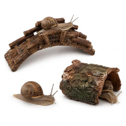 Pet Snail Hideout and Climbing Bridge Set for Terrarium Habitat Decor (Hideout) | Low-Profile Bark-Style Hideout and 17 cm Bridge for Natural Resting and Crawling Routes