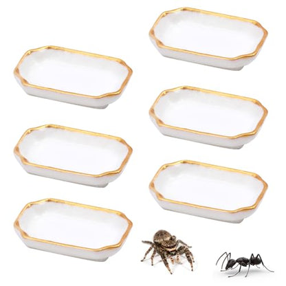6 Pcs Ant Mini Feeding Dish Cricket Plastic Eating Basin for Ant Scorpion Cricket Snail Crab Manti Millipede Small Insects
