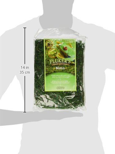 Fluker's Green Reptile Terrarium Moss, 8,Quart, Black - size: 8-Quart