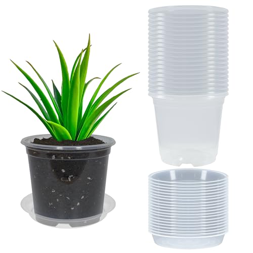 20 Pack 6 Inch Clear Nursery Pots with Drainage and 20 Pack Plant Saucers, 0.5 Gallon Plant Pots for Plants Potting Containers Half Gallon Plants Seeding Starter Pot (Clear, 6 Inch) - size: 6 Inch