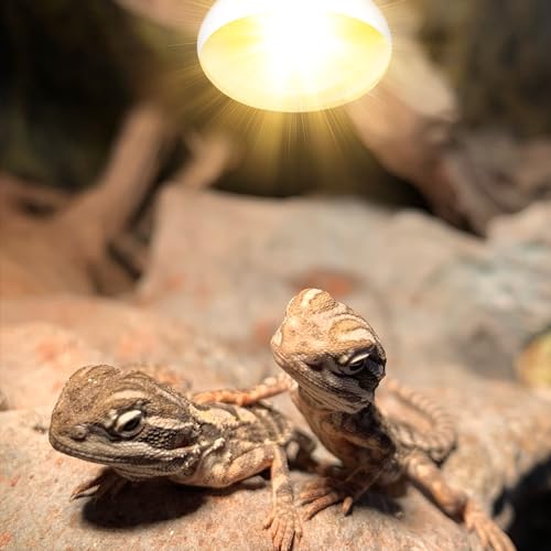 100W Reptile Heat Lamp Bulb Full Spectrum UVA UVB Sun Lamp | Basking Light for Bearded Dragon, Mercury Vapor Bulb for Reptiles and Amphibians - size: 100W