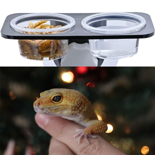 ZIYIZE 500 Pcs Feeding Cups Samll 0.5 oz Gecko Food and Water Feeding Dish Ledge Accessories Bowls for Crested Gecko Lizards Reptiles Pets
