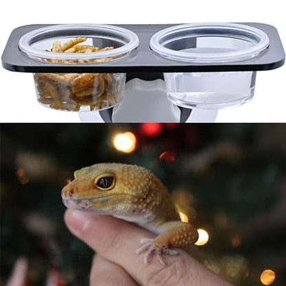 ZIYIZE 500 Pcs Feeding Cups Samll 0.5 oz Gecko Food and Water Feeding Dish Ledge Accessories Bowls for Crested Gecko Lizards Reptiles Pets