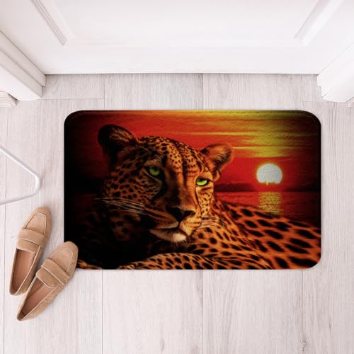 Moon Cheetah Area Rug Leopard Print Bath Rugs for Teens Boys,Animal Hide Wild Animal Skin Spot Rugs Novelty Wildlife Big Cat Kitchen Mat Ocean Beach Area Rug 16"x24" - color: Multi 04, size: 1'4" x 2' (Rectangular)