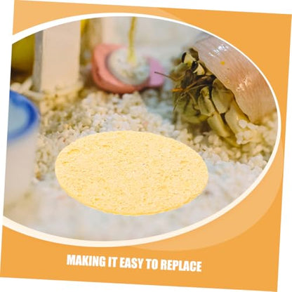 20pcs Humidity Maintaining Crab Tank Sponges Unbleached Sea Sponge for Water Dish Durable Moisture Retention Promoting Healthy Growth Pet Crab Habitats