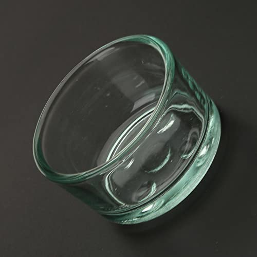Feeder Dish Bowl Glass Water Feeder Bowl Anti-Escape Worm Container for Bearded Dragon Corn Snake Supplies Pet Supplies Pet Supplies Amphibians Supplies Pet Health