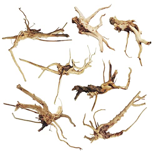 kathson Aquarium Driftwood Reptile Branches Wood Natural Spiderwood Driftwood for Aquarium 5-6" 7 Pcs Terrarium Ornament Trunk Fish Tank Log Habitat Decoration Tree Stump Decor Assorted Sizes Wood - size: 7 Pcs