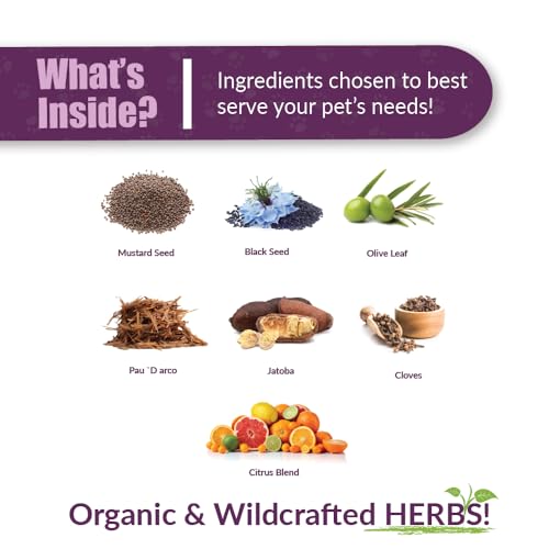 AMBER NATURALZ Reptaid XL for Reptiles 250g+, Immune & Respiratory, 1 OZ | Supports immune & upper respiratory function, eye & mouth health, appetite & vitality. Formulated for pets 250g & over. - size: Over 250 grams