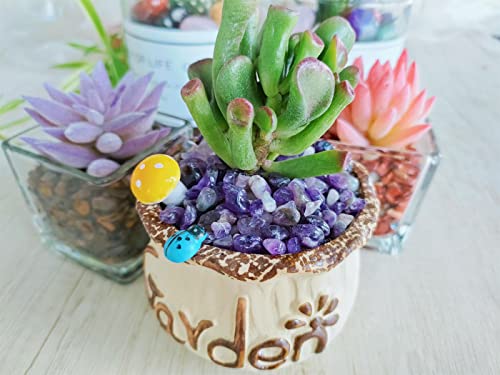 ZHIYUXI Amethyst Crystal Chips Fish Tank Gravel Vase Filler Stones Bulk Crushed Crystals Gemstone Polished Natural Quartz Stone Healing Crystals Glass Stones Fish Rocks - color: C# Amethyst, size: 0.22lbs