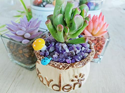 ZHIYUXI Amethyst Crystal Chips Fish Tank Gravel Vase Filler Stones Bulk Crushed Crystals Gemstone Polished Natural Quartz Stone Healing Crystals Glass Stones Fish Rocks - color: C# Amethyst, size: 0.22lbs