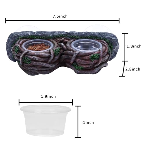 AIICIOO Crested Gecko Feeding Ledge Double Bowl Reptile Vine Food Ledge with 4 PCS Cup Corner Water Bowl for Lizard Snake Bearded Dragon Frog Turtle Terrarium Tank Decor - size: Vine Dual Feeder