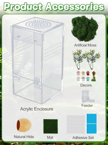 Escape Proof Jumping Spider Enclosure, Tarantula Terrarium Accessories Kit | MADHOLLY One-Piece, No Assembly Required, with Magnetic Door, Micro Vent Holes, DIY Decors, for Mantises/Insects, 3x3x6in