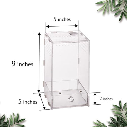 Acrylic Clear Reptile Habitat Enclosure Terrarium with Latch ，Perfect for Amphibians and Invertebrates Such as Spiders, Frogs, etc (Vertical)