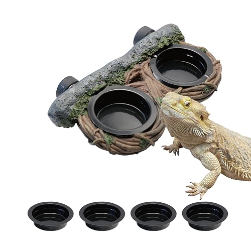 Magnetic Feeding Ledge with 4pcs Cups,Reptile Water Bowl,Bearded Dragon,Turtle,Crested Gecko,Snake,Tank Accessories - size: M