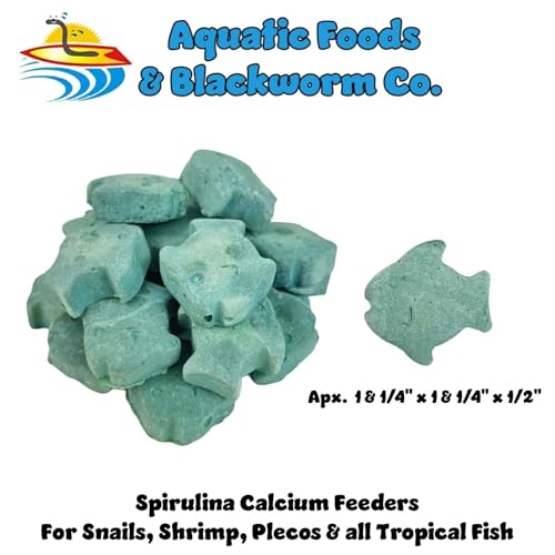 Spirulina Enriched Calcium Feeders... 35ct Small Jar | For Shrimp, For Snails, For Crabs, Crayfish, Pleco, Catfish, For All Tropical Fish - size: 35 Count (Pack of 1)