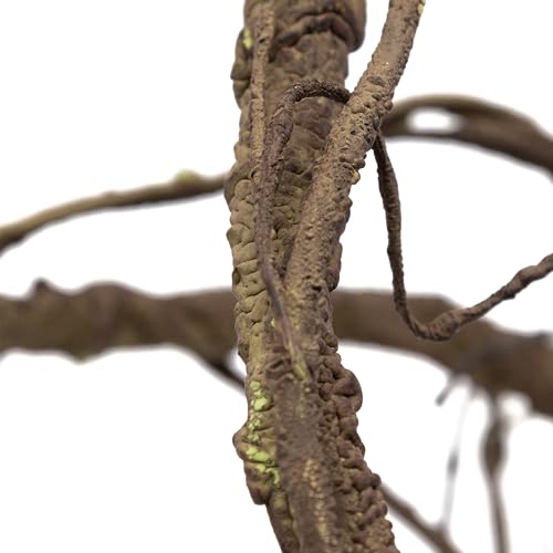 Pangea Reptile Ultimate Vine for Terrarium Habitat (Brown) | 6 ' Long Large Diameter Foam Vine for Reptile Enclosures, Bendable, Humidity Resistant, Bendy Offshoot Branches - color: Brown
