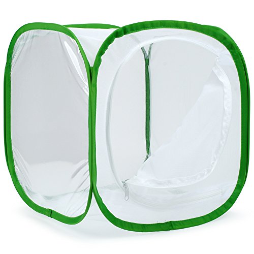 RESTCLOUD Insect and Butterfly Habitat Cage Terrarium Pop-up 12 X 12 X 12 Inches - color: White With Green, size: 12 x 12 x 12 inches