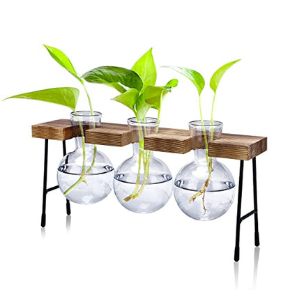 Propagation Station, 3 Pcs Bulb Vase Glass Plant Propagation Station Modern Desktop Glass Planter Hydroponic Table Top Planter Glass Flower Vases for Home Garden Office Coffee Table Décor