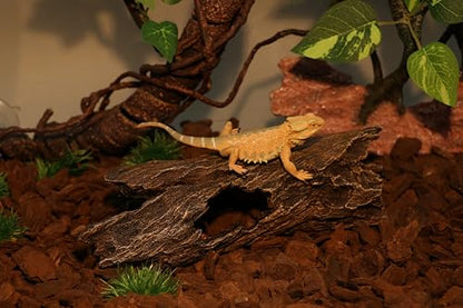 AQUA KT Reptile Hideout Tree Trunk Hollow Log Cork Bark for Lizard Bearded Dragon Snake Chameleon Hermit Crab Leopard Gecko Terrarium Habitat Decoration