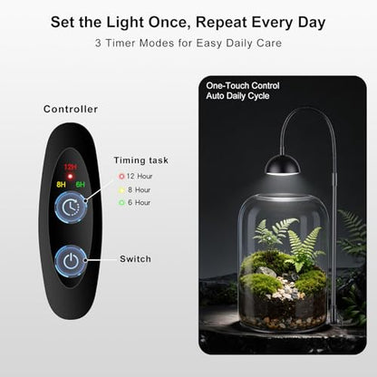 Glass Plant Terrarium, LED Grow Light, Adjustable Ventilation | 8.2" borosilicate body, US plug adapter and guide, for Venus fly traps, moss and succulents, plants and soil not included