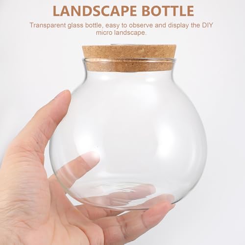 Glass Terrarium Jar with Led Light, Closed Terrarium Jar with Lid for Moss, Succulents and Betta Fish Tank, Large Clear Round Desk Plant Container Ecosystem for Home & Office Decor (no Plants) - size: 14.00X13.00X13.00CM