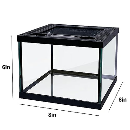 Mini Reptile Glass Terrarium Tank 8 * 8 * 6" Full View, Amphibians Habitat Enclosure Cage for Frog,Spiders,Dubia Cockroach,Praying Mantis,Cricket,Tarantula,Hermit Crab - size: 8*8*6inch