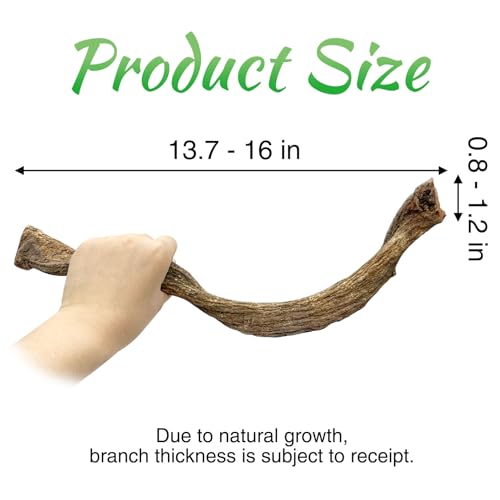 Reptile Branch Decor Snake Climbing Wood Branches Lizard Habitat Decorations Terrarium Wooden Tree Trunk Ornament for Bearded Dragon Snake Geckos Chameleon Frog 4 Pcs (14-16 inch) - size: 4 PCS-Diameter: 0.8-1.2 inches