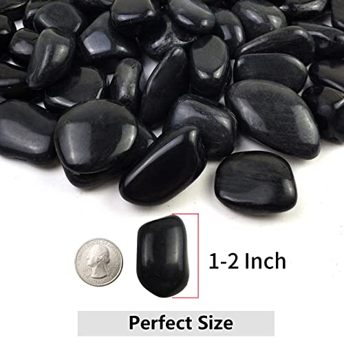 10lbs Black Pebbles for Plants, 1-2 Inch High Polished Natural River Rocks for Landscaping, Decorative Stones Vase Filler Fish Tank Aquariums Garden Outdoor and Indoor DIY - color: Black, size: 10 Pounds