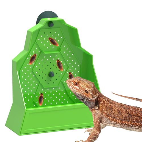 Reptile Bug Feed Bowl, Suction Cup Hanger Escapeproof Bugs Feeder Box with Ventilation Holes, Wall-Mounted Hunting Food Bowl for Lizard Bearded Dragon Frog - size: Medium 15*6*16cm/5.9*2.4*6.3"