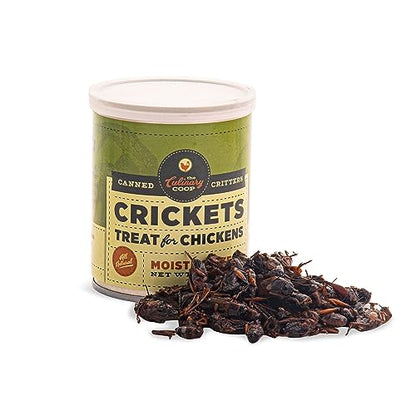 Fluker's Culinary Coop Canned Crickets Chicken Treat, All Natural and Packed with Protein, 2.75 oz - size: 2.75 Ounce (Pack of 1)