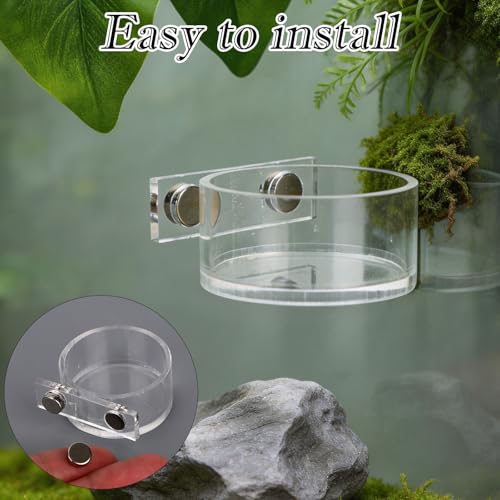 Jumping Spider Feeding Dish Set, Magnetic Water Bowl Dispenser Feeding Food Dish with Reptile Tweezers Jumping Spider Enclosure Accessories Kit for Tarantula Mantis Small Reptiles Pets