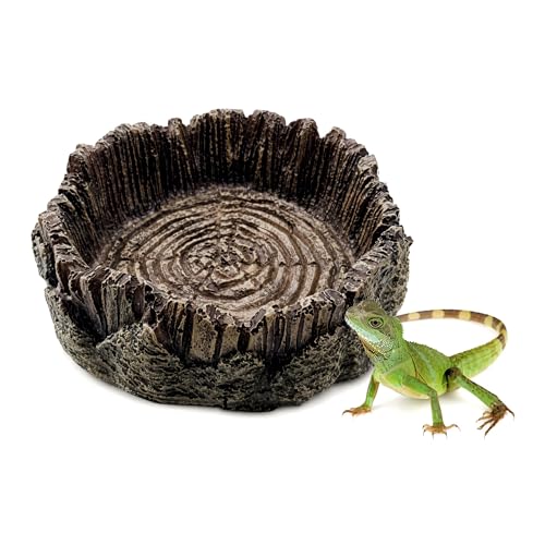 1 Pack Small Reptile Food Dish Resin Rock Worm Water Bowl for Bearded Dragon Leopard Gecko Lizard Hermit Crab Snail Frog Toad Anti Turnover Feeding Accessories Set