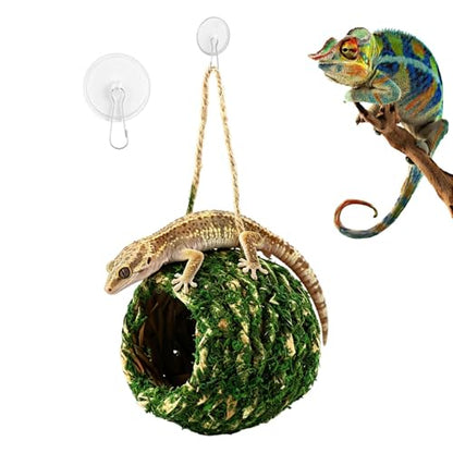 Handmade Natural Moss Hide for Reptiles & Amphibians, 12cm Square Humidity-Retaining Shelter with Non-Marking Suction Hooks, Ideal for Crested Geckos, Hermit Crabs(Green)