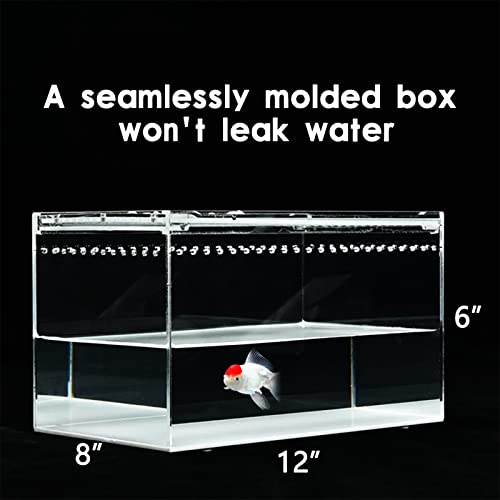 Reptile Terrarium - Amphibian Tank Starter Kit, Eco Rainforest Feeding Box, Amphibian Feeding Box, Suitable for breeding Lizards, Snakes, Chameleons,Jumping Spiders