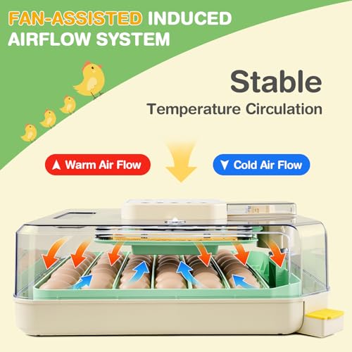 Sailnovo 48 Egg Incubator for Hatching Eggs with Auto Egg Turning, Precise Temp & Humidity Control, 360°Viewing, Egg Candler, Incubator for Chicken Eggs/Duck/Quail,Ideal for Farm/School/Lab,Green | Precise Temp & Humidity Control，Auto Egg Turning, 360°Vie