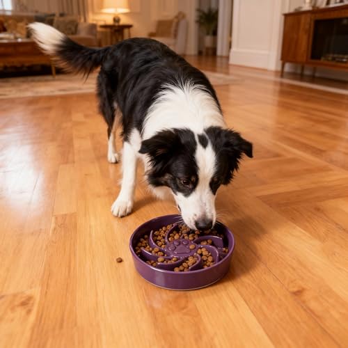 Ceramic Slow Feeder Dog Bowl, 3 Cup Dog Food or 25oz Water, Slow Eating Bowl for Middle Breed, Maze Puzzle Feeder for Fast Eaters, Anti-Choking Stop Bloat, Non-Slip BPA Free (Purple) - color: Purple