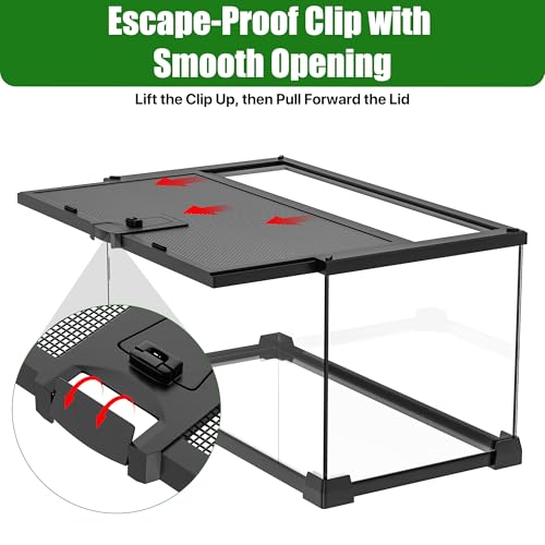 Mini Glass Reptile Enclosure Terrarium 8"x8"x6" | Top-Opening Mesh Lid with Feeding Hole, Fully Assembled Tank for Tarantulas, Isopods,Froglets & Tiny Reptiles - size: 8" x 8" x 6"